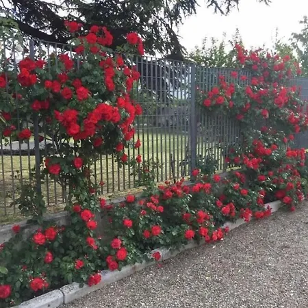 Tenuta La Rosa